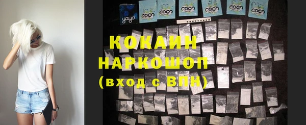 хмурый Ельня
