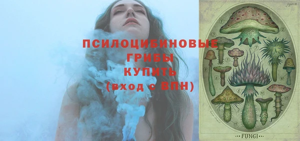 хмурый Дмитровск