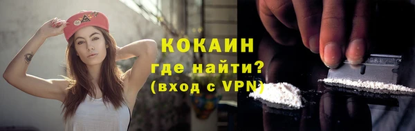 хмурый Ельня