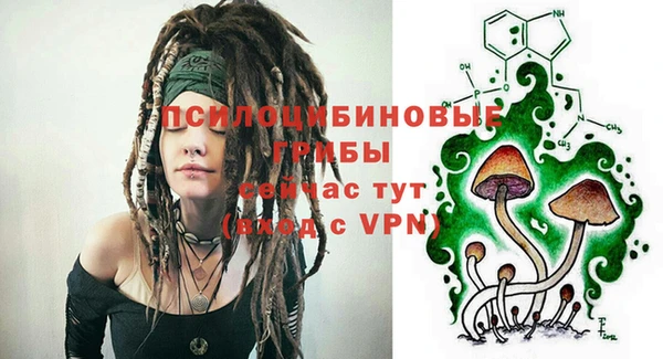 кристаллы Дмитриев