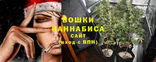 хмурый Дмитровск