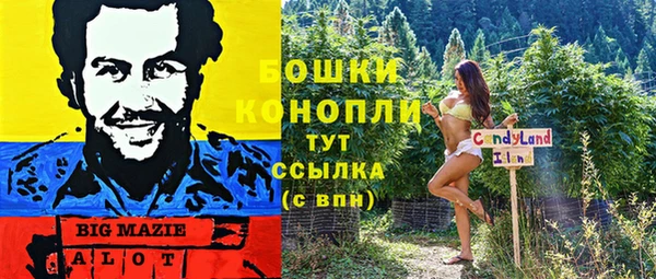 хмурый Дмитровск
