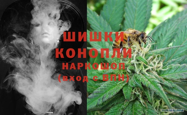хмурый Дмитровск