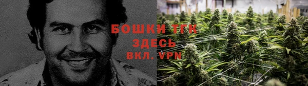 кристаллы Дмитриев